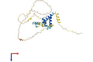 AlphaFold protein structure predicition of Human Recombinant GSC Protein, UniprotID P56915