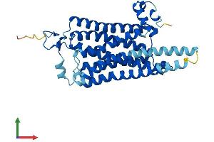 AlphaFold protein structure predicition of Human Recombinant TAAR8 Protein, UniprotID Q969N4