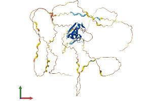 AlphaFold protein structure predicition of Human Recombinant CBLL1 Protein, UniprotID Q75N03