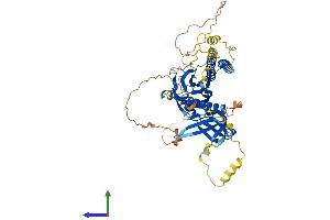AlphaFold protein structure predicition of Human Recombinant RTKN Protein, UniprotID Q9BST9