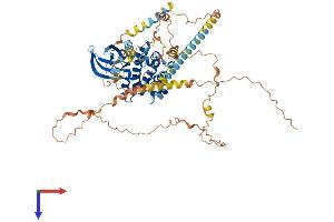 AlphaFold protein structure predicition of Mouse Recombinant Nek5 Protein, UniprotID Q7TSC3