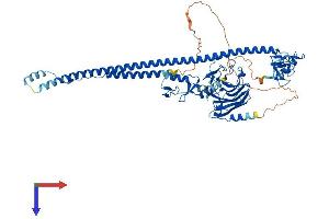 AlphaFold protein structure predicition of Mouse Recombinant Trim25 Protein, UniprotID Q61510