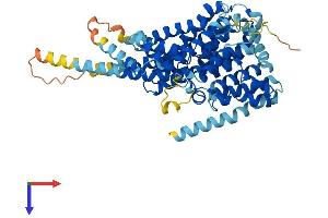 AlphaFold protein structure predicition of Mouse Recombinant Slc13a5 Protein, UniprotID Q67BT3
