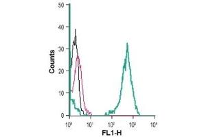 Cell surface detection of Kir2.