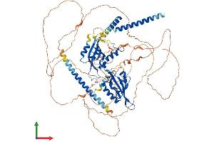 AlphaFold protein structure predicition of Mouse Recombinant Npas2 Protein, UniprotID P97460
