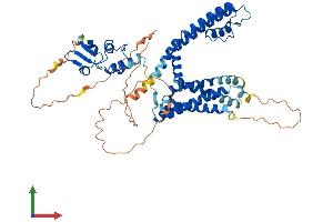 AlphaFold protein structure predicition of Mouse Recombinant Kcna3 Protein, UniprotID P16390