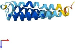 AlphaFold protein structure predicition of Human Recombinant LEPROTL1 Protein, UniprotID O95214