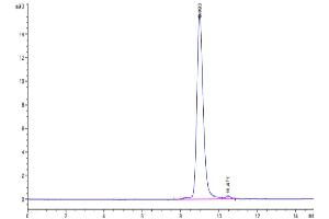 The purity of Mouse IL-9 is greater than 95 % as determined by SEC-HPLC.