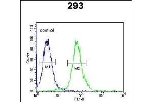 anti-Rhotekin 2 (RTKN2) (AA 99-127), (N-Term) antibody