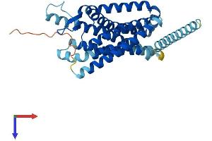 Formyl Peptide Receptor, Related Sequence 7 (FPR-RS7) (AA 1-338) protein (His tag)
