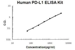 Human PD-L1/B7-H1 PicoKine ELISA Kit standard curve (PD-L1 Kit ELISA)