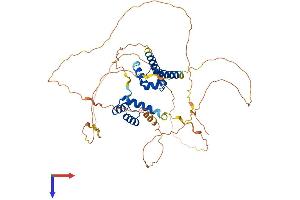 AlphaFold protein structure predicition of Human Recombinant POU2F2 Protein, UniprotID P09086