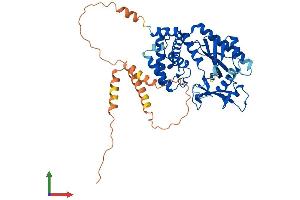 AlphaFold protein structure predicition of Mouse Recombinant Mief1 Protein, UniprotID Q8BGV8