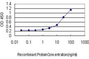 Detection limit for recombinant GST tagged FOXF2 is approximately 0. (FOXF2 anticorps  (AA 346-443))