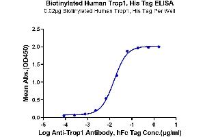 Immobilized Biotinylated Human Trop1,His Tag at 0.
