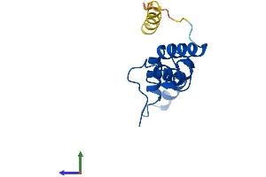 AlphaFold protein structure predicition of Human Recombinant MRPS14 Protein, UniprotID O60783