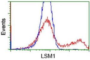 HEK293T cells transfected with either RC200288 overexpress plasmid (Red) or empty vector control plasmid (Blue) were immunostained by anti-LSM1 antibody (ABIN2454726), and then analyzed by flow cytometry. (LSM1 anticorps  (AA 1-133))