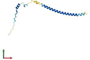 AlphaFold protein structure predicition of Human Recombinant C19orf25 Protein, UniprotID Q9UFG5