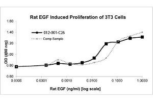 SDS-PAGE of Rat Epidermal Growth Factor Recombinant Protein Bioactivity of Rat Epidermal Growth Factor Recombinant Protein . (EGF Protéine)