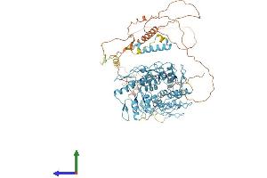 AlphaFold protein structure predicition of Human Recombinant ZNF226 Protein, UniprotID Q9NYT6