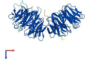 AlphaFold protein structure predicition of Mouse Recombinant Cfap52 Protein, UniprotID Q5F201