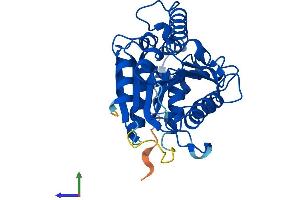 AlphaFold protein structure predicition of Mouse Recombinant Afmid Protein, UniprotID Q8K4H1