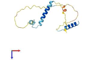 AlphaFold protein structure predicition of Human Recombinant RGCC Protein, UniprotID Q9H4X1