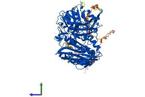 AlphaFold protein structure predicition of Mouse Recombinant Aifm3 Protein, UniprotID Q3TY86