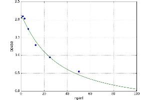 Steroid Sulfatase (Microsomal), Isozyme S (STS) ELISA Kit