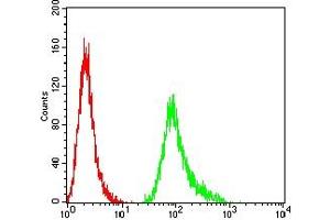 Flow cytometric analysis of HepG2 cells using GPC3 mouse mAb (green) and negative control (red). (Glypican 3 anticorps  (AA 359-554))