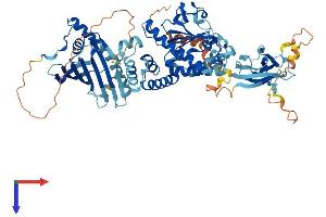 AlphaFold protein structure predicition of Mouse Recombinant Sec14l1 Protein, UniprotID A8Y5H7