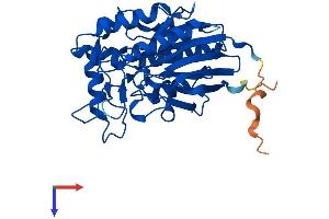 AlphaFold protein structure predicition of Human Recombinant ADPRM Protein, UniprotID Q3LIE5