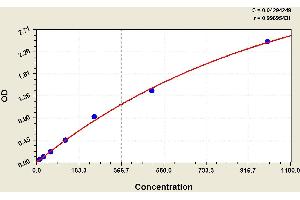 ELISA image for Calcitonin-Related Polypeptide alpha (CALCA) ELISA Kit (ABIN1113889) (CGRP Kit ELISA)