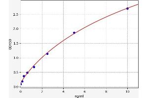Keratin 17 (KRT17) ELISA Kit