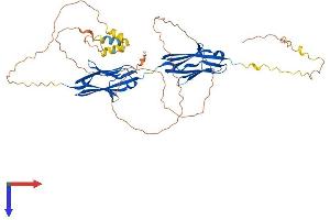 AlphaFold protein structure predicition of Human Recombinant MYOT Protein, UniprotID Q9UBF9