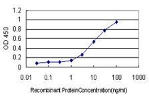 Detection limit for recombinant GST tagged CLU is approximately 0.