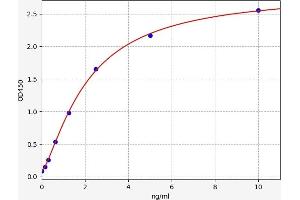 Glutathione S-Transferase pi 1 (GSTP1) ELISA Kit