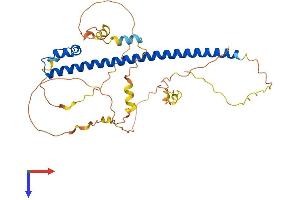 AlphaFold protein structure predicition of Human Recombinant MAFA Protein, UniprotID Q8NHW3