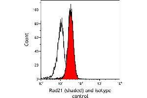 Flow Cytometry (FACS) image for anti-RAD21 Homolog (RAD21) (C-Term) antibody (ABIN7795620)