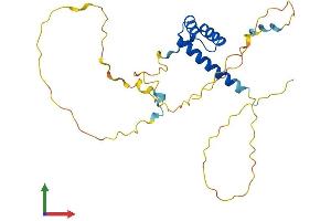 AlphaFold protein structure predicition of Human Recombinant CDX1 Protein, UniprotID P47902