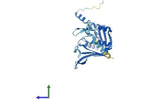 AlphaFold protein structure predicition of Human Recombinant RPF2 Protein, UniprotID Q9H7B2