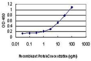 Detection limit for recombinant GST tagged CSK is approximately 0.