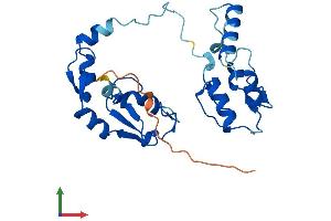 AlphaFold protein structure predicition of Mouse Recombinant Rnf166 Protein, UniprotID Q3U9F6
