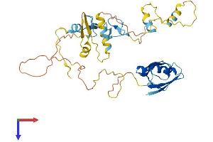 AlphaFold protein structure predicition of Human Recombinant PDLIM3 Protein, UniprotID Q53GG5
