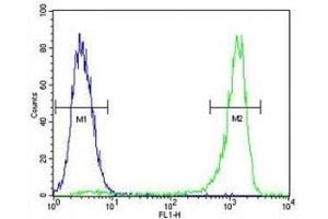 VEGFC antibody flow cytometric analysis of MCF-7 cells (green) compared to a negative control (blue).