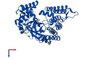 AlphaFold protein structure predicition of Mouse Recombinant Smyd2 Protein, UniprotID Q8R5A0