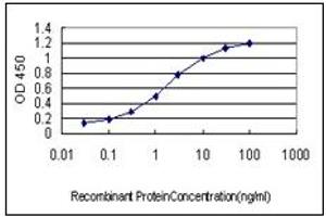 ELISA image for anti-Crystallin, mu (CRYM) (AA 215-315) antibody (ABIN614593)