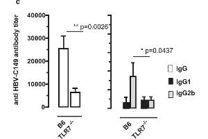 Characterization of antibody responses induced by DNA vaccines expressing particulate and non-particulate core antigens.