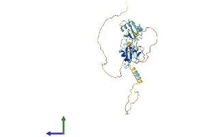 AlphaFold protein structure predicition of Mouse Recombinant Dcx Protein, UniprotID O88809