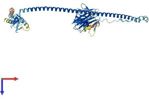 AlphaFold protein structure predicition of Human Recombinant TRIM34 Protein, UniprotID Q9BYJ4